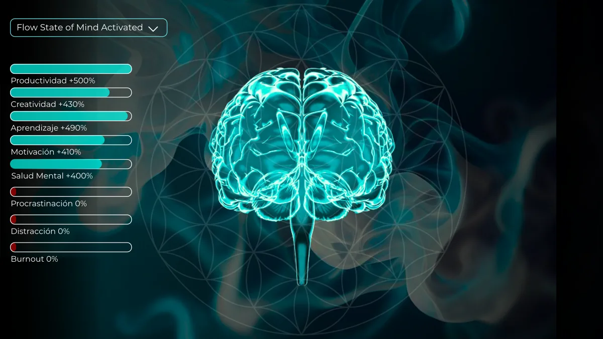 FLOW MINDSET